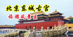 性感av美女让你干啊啊啊中国北京-东城古宫旅游风景区